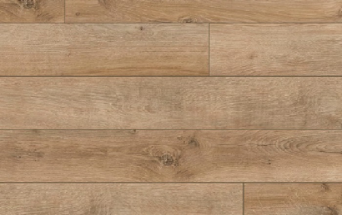 49840_Arteo_Classen_Dub_Connemara